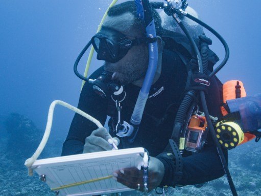 a diver takes notes while underwater