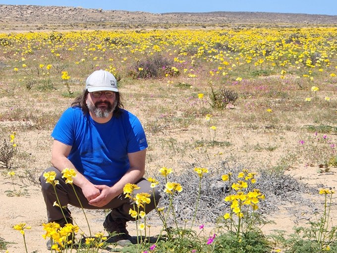 A man crouches down in the desert surrounded by yellow flowering plants