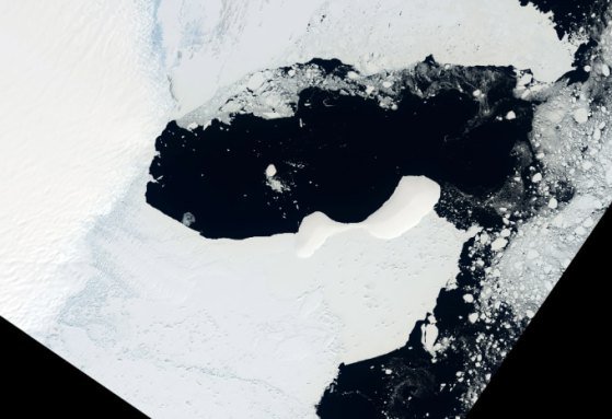 The Conger ice shelf as seen from space, a floating white mass on the ocean