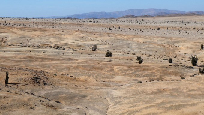 Pan de Azúcar National Park