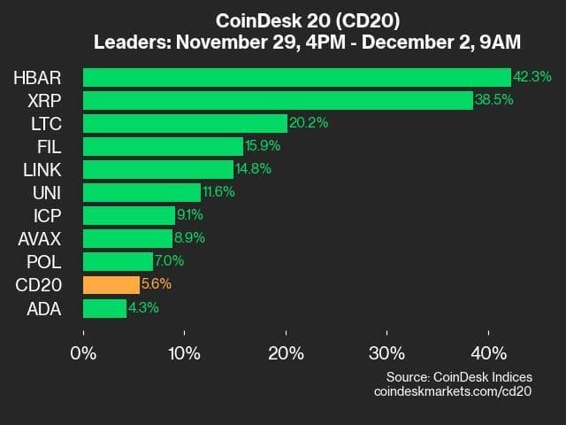 9am CoinDesk 20 Update for 2024-12-02: leaders chart