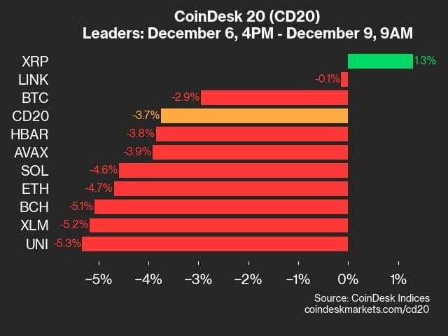 9am CoinDesk 20 Update for 2024-12-09: leaders chart