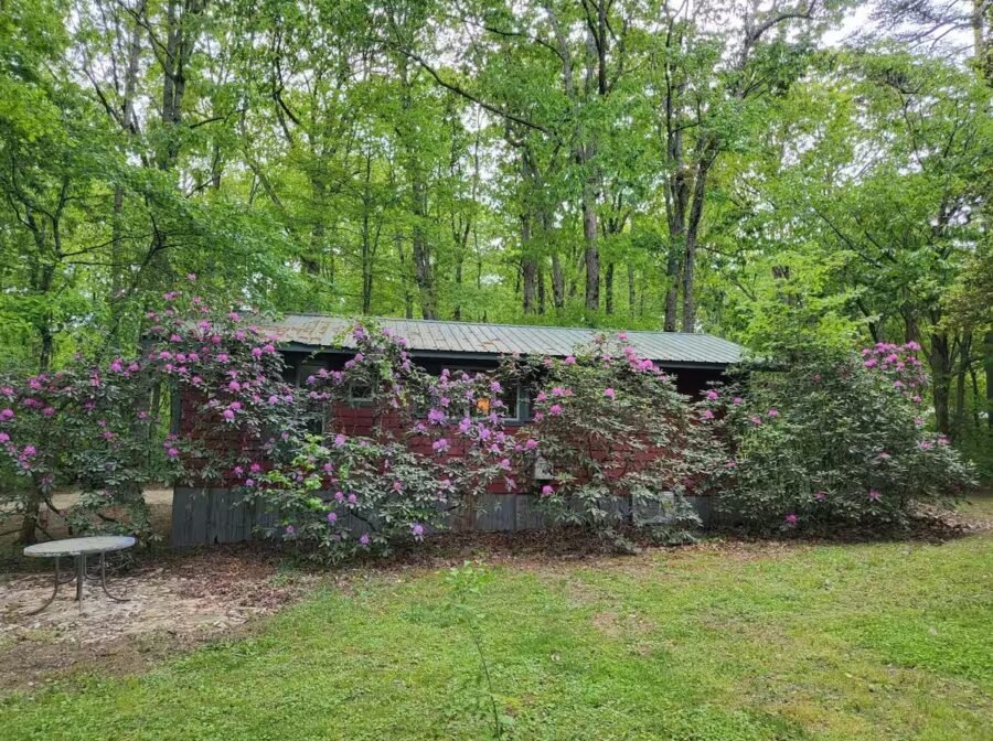 Magical Cabin in the Woods of Alabama